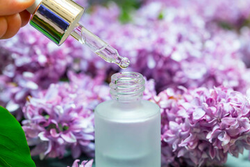 Lilac flowers aroma oil, flowers essential oil, pure essence - 568562870