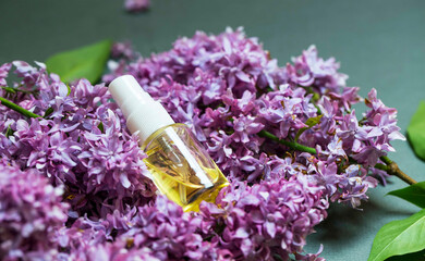 Lilac flowers aroma oil, flowers essential oil, pure essence - 568562882