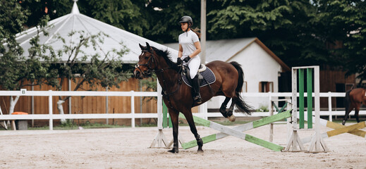 Overcoming obstacles. Beautiful graceful horse jumping over the barrier while having a rider on its...