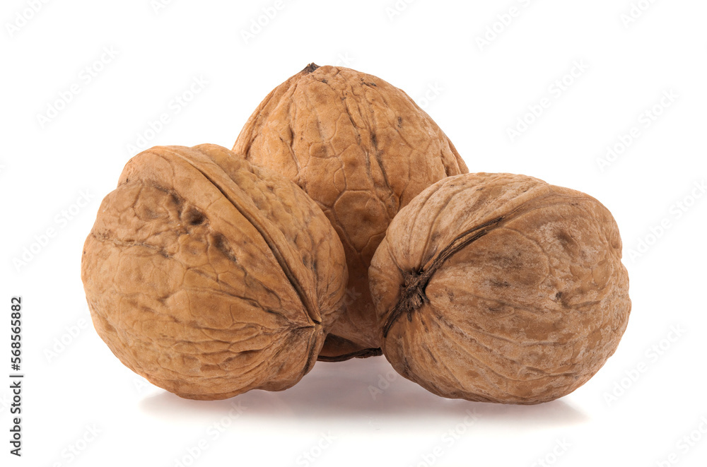 Poster walnuts isolated on white background.