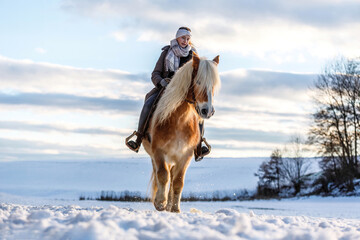 A young equestrian teenage girl rides on her haflinger horse through the snow in the evening during...