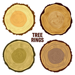Round colorful tree trunk cuts, sawn pine or oak slices, lumber. Saw cut timber, wood. Brown wooden texture with tree rings. Hand drawn sketch. Vector illustration