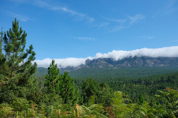Corsica, France, forest, mountains, clouds and sky
