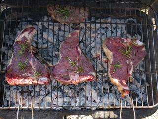 Beef steaks grilled on the barbecue and seasoned with rosemary - 568568216