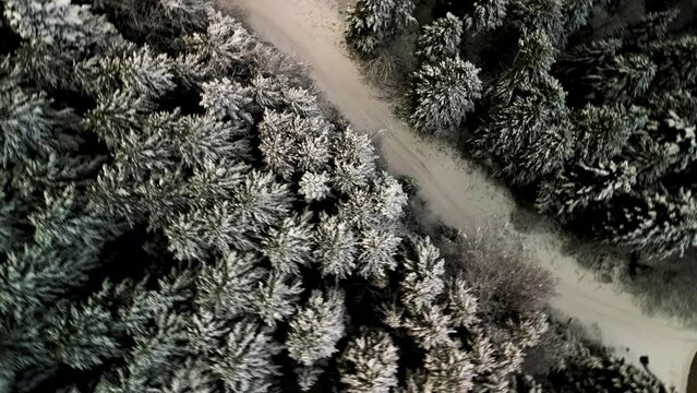 Chillin' in the Snow: Aerial View of Winter Magic&mdash;Mountains, Snowy Pines, and National Park Vibes