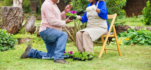 pensioner couple taking care of the flowers and herbs