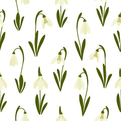 Fototapeta na wymiar Seamless pattern Snowdrops flower on spring white background. Print for your design. Vector Illustration.