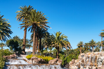 Palm trees, Waterfall and pond, Exotic island under a cloudless blue sky.