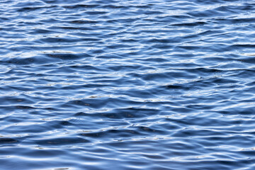 windy lake with blue water rippling across surface
