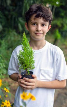 A boy holding a small tree sapling in a pot, standing in a garden.