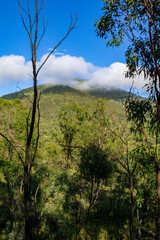clouds on a mountain top