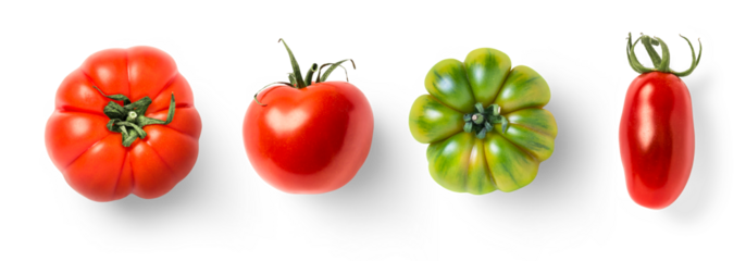 set of four tomato varieties isolated over a transparent background, natural organic vegetable design elements, top view / flat lay