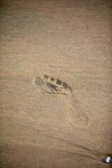 A footprint in the sand along Towan Beach in Newquay, UK.