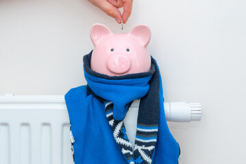 Piggy bank on radiator. Heating cost concept