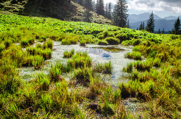 river in the mountains