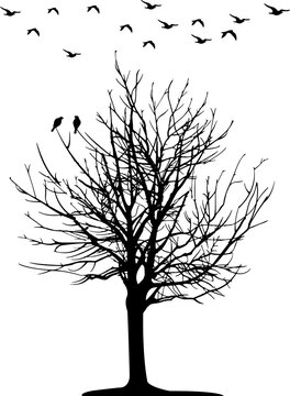 Black and white vector sketch illustration of tree and birds