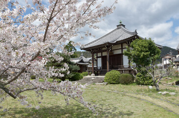 春の大覚寺　大沢池　聖天堂　京都市右京区嵯峨