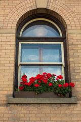 Brick wall with arched windows, flower pots. Old ornamented window with flowers