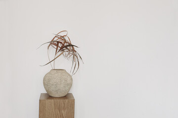 Dry palm leaves in textured ceramic vase on oak wooden podium, pedestal. White wall background....