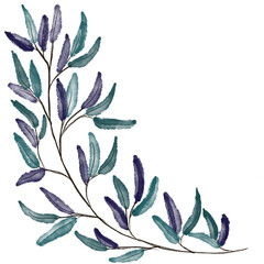 Illustration of a watercolor twig of a plant with leaves as an ornament for decoration on a white isolated background