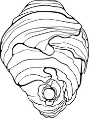 Hive of wild wasps. Vespiary residence flying insects close up. Vector illustrations in hand drawn sketch style isolated on white. Illustration coloring book page, logo.