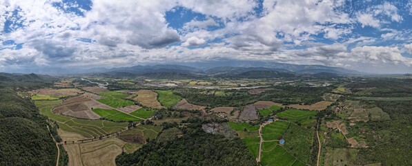 Aerial view of rice crops in Colombia