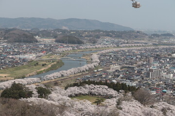 桜咲く街並み

