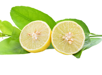 Limes with slices isolated transparent png