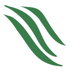 Tropical Paradise Illustration