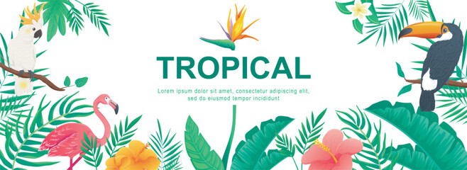 Tropical horizontal web banner. Jungle plants, leaves of palm tree, monstera, banana, flowers, toucan, flamingo and parrot. Vector illustration for header website, cover templates in modern design © alexdndz