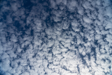 Upwards sky shot of puffy clouds noon