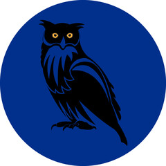 owl on a blue background
