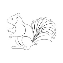 squirrel icon for logo design