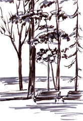 pine trees and benches on the background of the sea, graphic black and white drawing on a white background