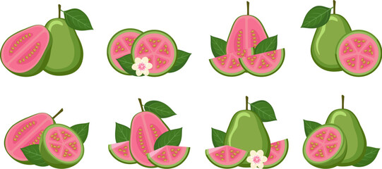 Cartoon guava isolated