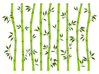 Bamboo green stem and leaf borders set. Exotic decoration elements fresh natural plant in line flat style. Hand drawing painted Asian traditional tree leaves and sticks bamboo botanical collection