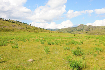 A clearing with low bushes at the foot of high hills in a picturesque steppe under a sunny summer sky.