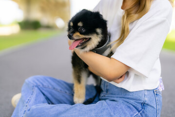 Happy young asian woman playing and sitting on road in the park with her dog. Pet lover concept