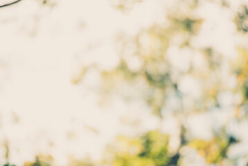 Blurred background bright shopping mall Silver gray lighting. defocused store light bokeh in retail store. Blurry hospital bright softness hotel with copy space. Backdrop present design template.