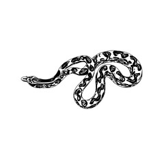 Black and white sketch of a snake with transparent background
