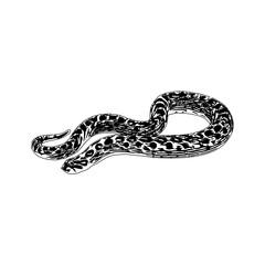 Black and white sketch of a snake with transparent background