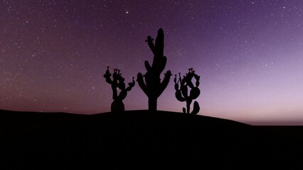 Naklejka na ściany i meble silhouette of a cactus