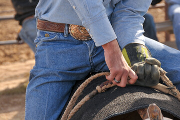 Cowboy Working the Ranch