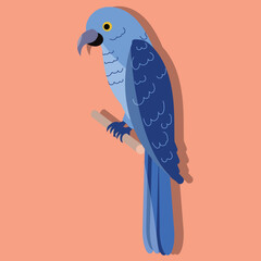 blue bird with peach background color 
