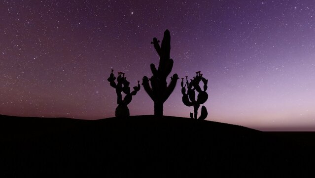 silhouette of a cactus