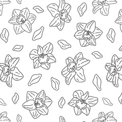 seamless doodle pattern with daffodils on a white background with black lines. Vector advertising spring background for the store.