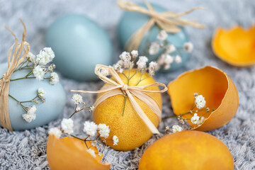 Fototapeta na wymiar Colored Easter eggs and egg shells with spring flowers. Festive decoration.