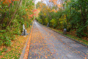 Naklejka premium 輪王寺 晩秋 