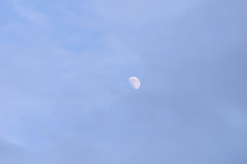 Half moon in the sky in the evening