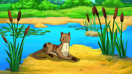Red tabby cat near a pond illustration